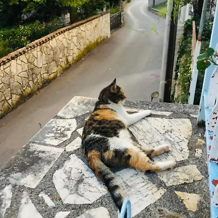 Tom Apartmán